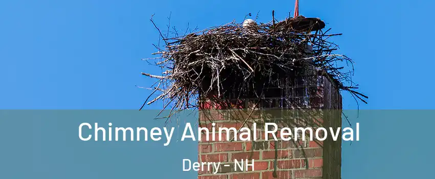 Chimney Animal Removal Derry - NH