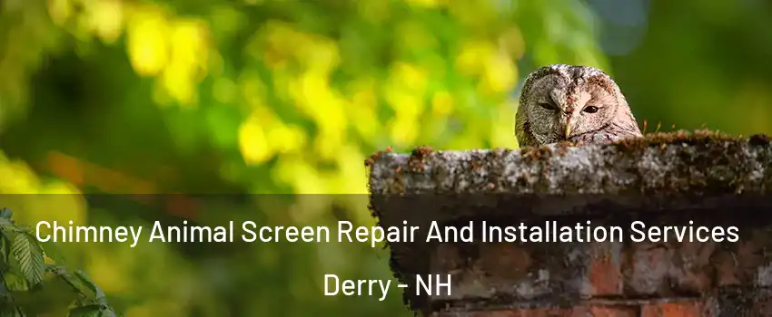  Chimney Animal Screen Repair And Installation Services Derry - NH
