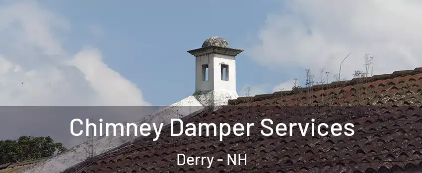  Chimney Damper Services Derry - NH