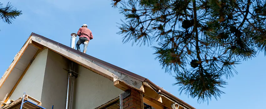 Birds Removal Contractors from Chimney in Derry, NH