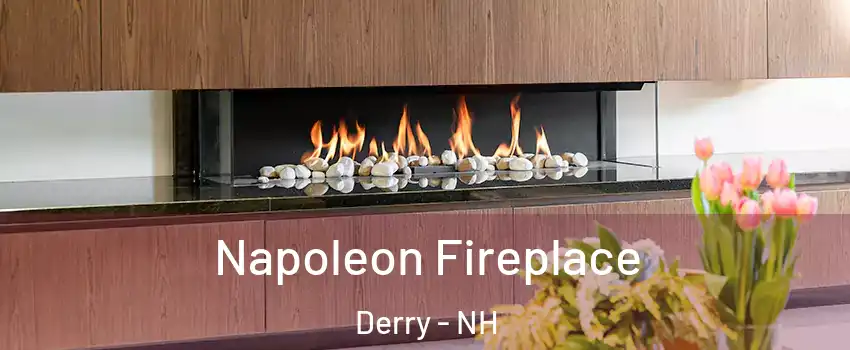  Napoleon Fireplace Derry - NH